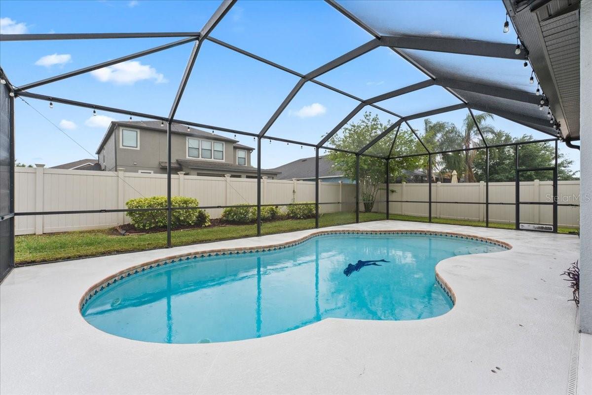 Image 62 of 63 For 1675 Feather Grass Loop