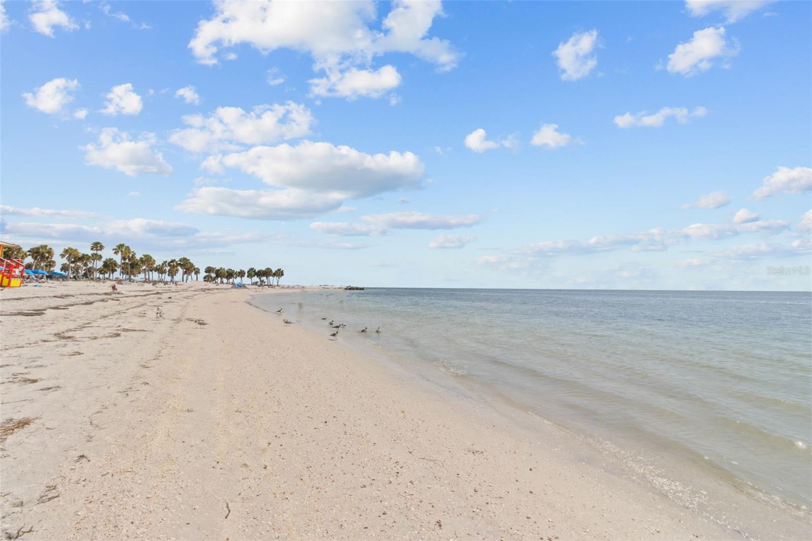 Image 48 of 56 For 823 Riverside Drive