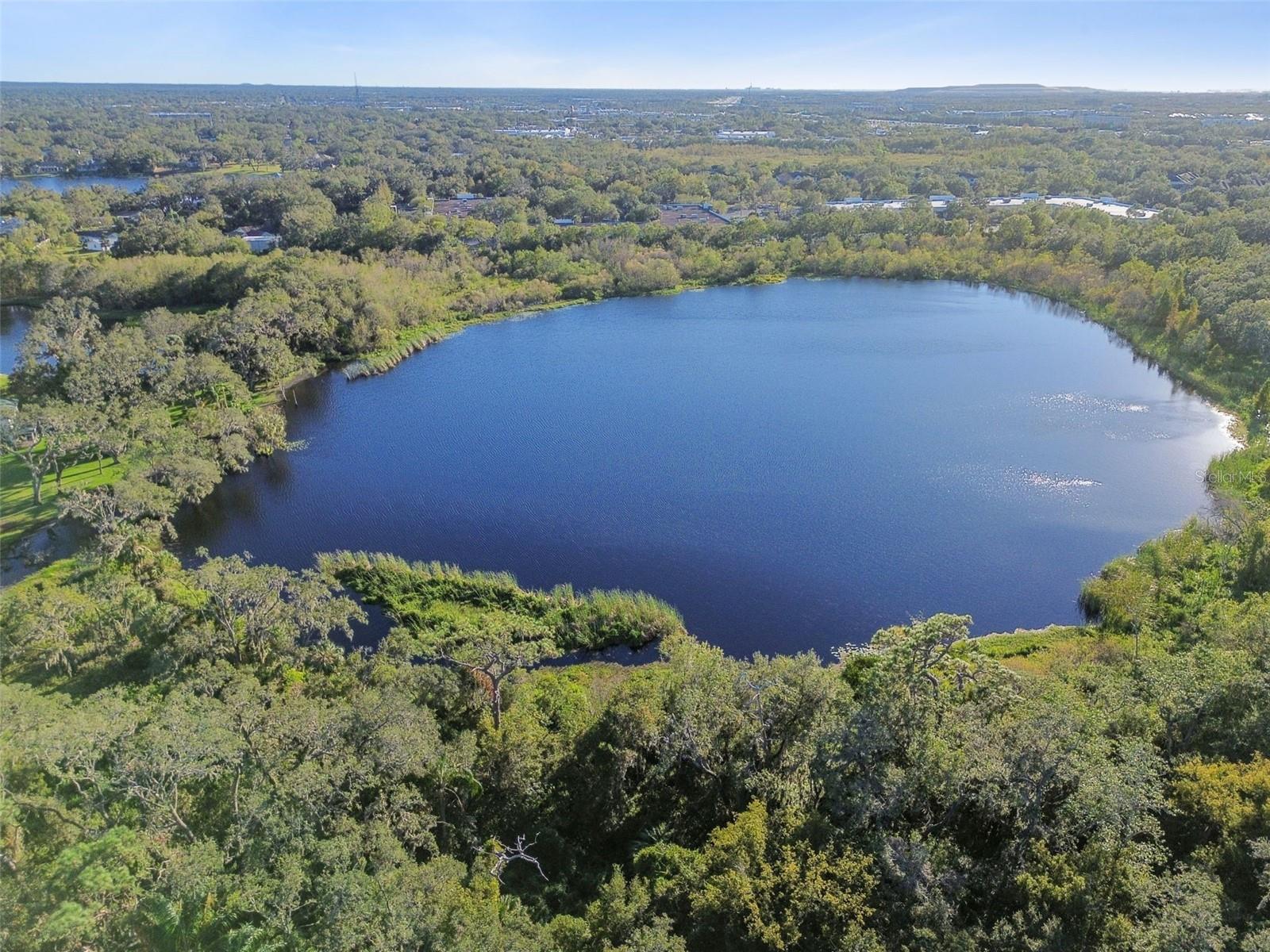 Image 76 of 85 For 2237 Lake Woodberry Circle