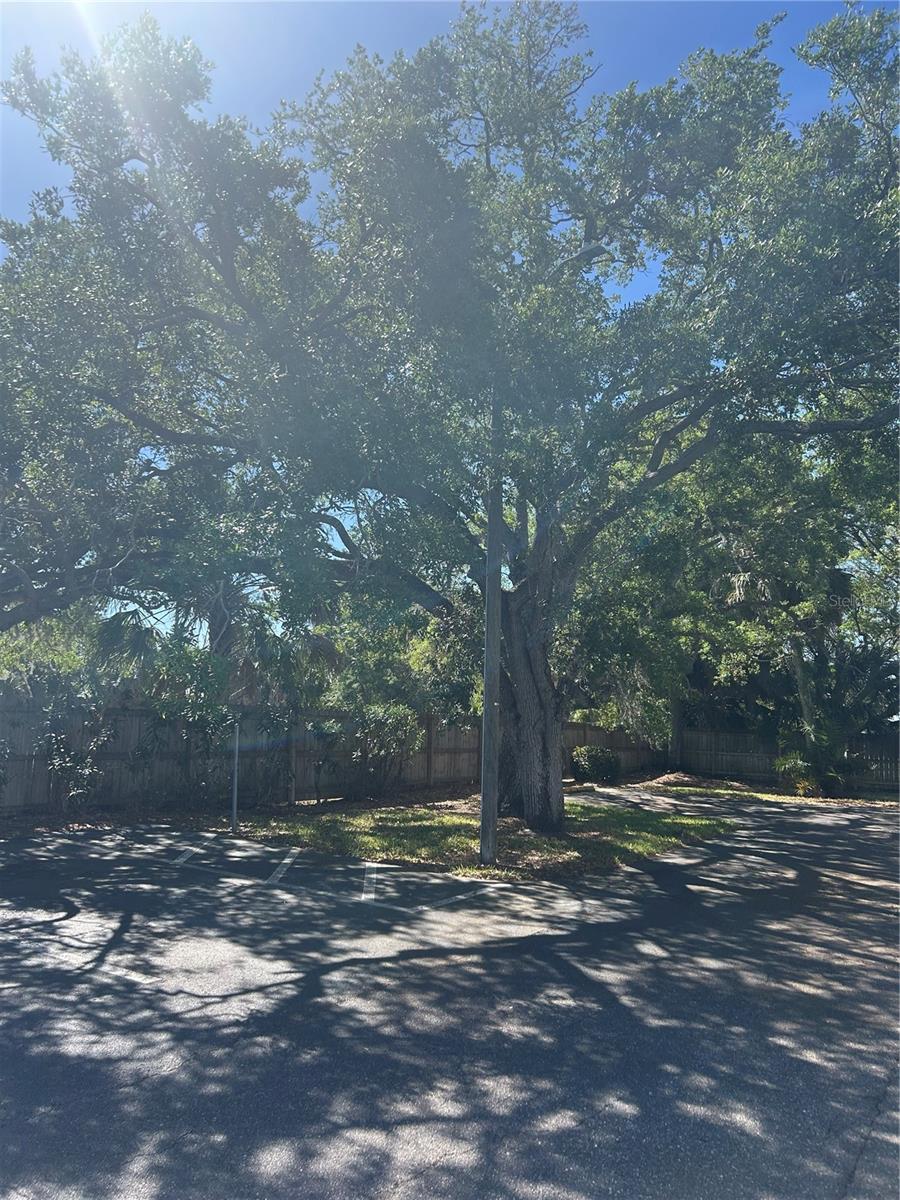 Image 3 of 20 For 383 Mcmullen Booth Road 68