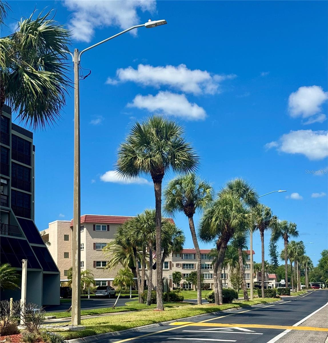 Image 18 of 18 For 10036 63rd Avenue N 23