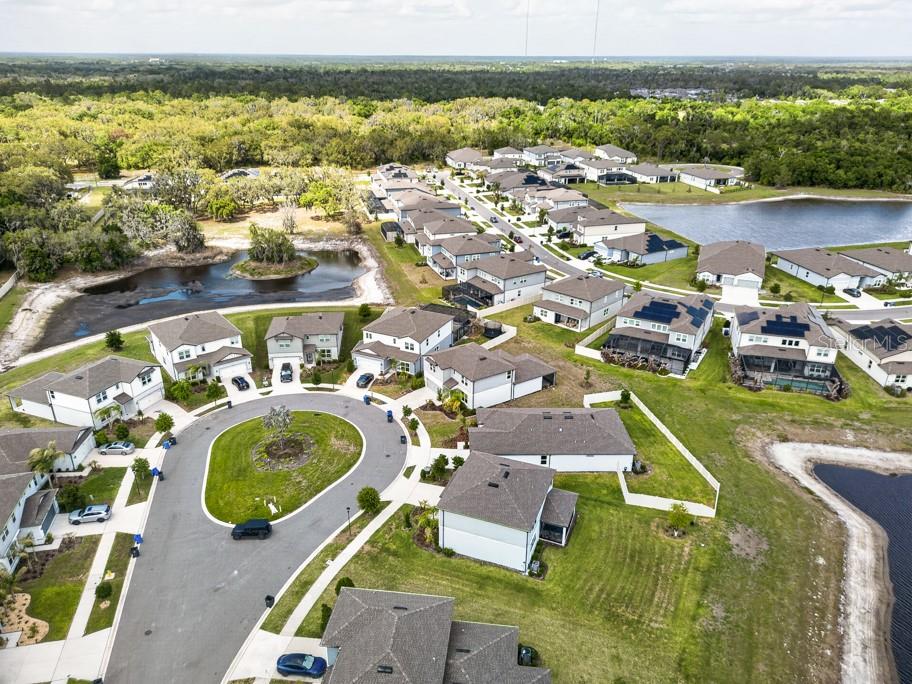 Listing photo id 46 for 12908 Brookside Moss Drive