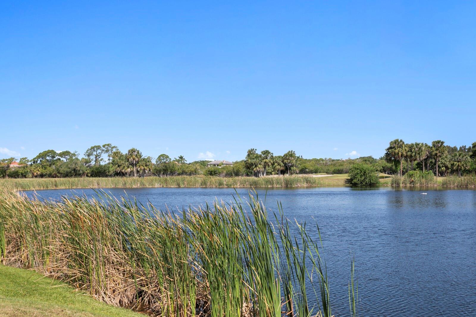 Image 49 of 69 For 7361 Watersilk Drive