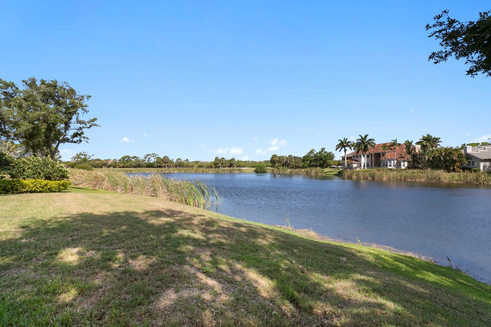 Image 51 of 69 For 7361 Watersilk Drive