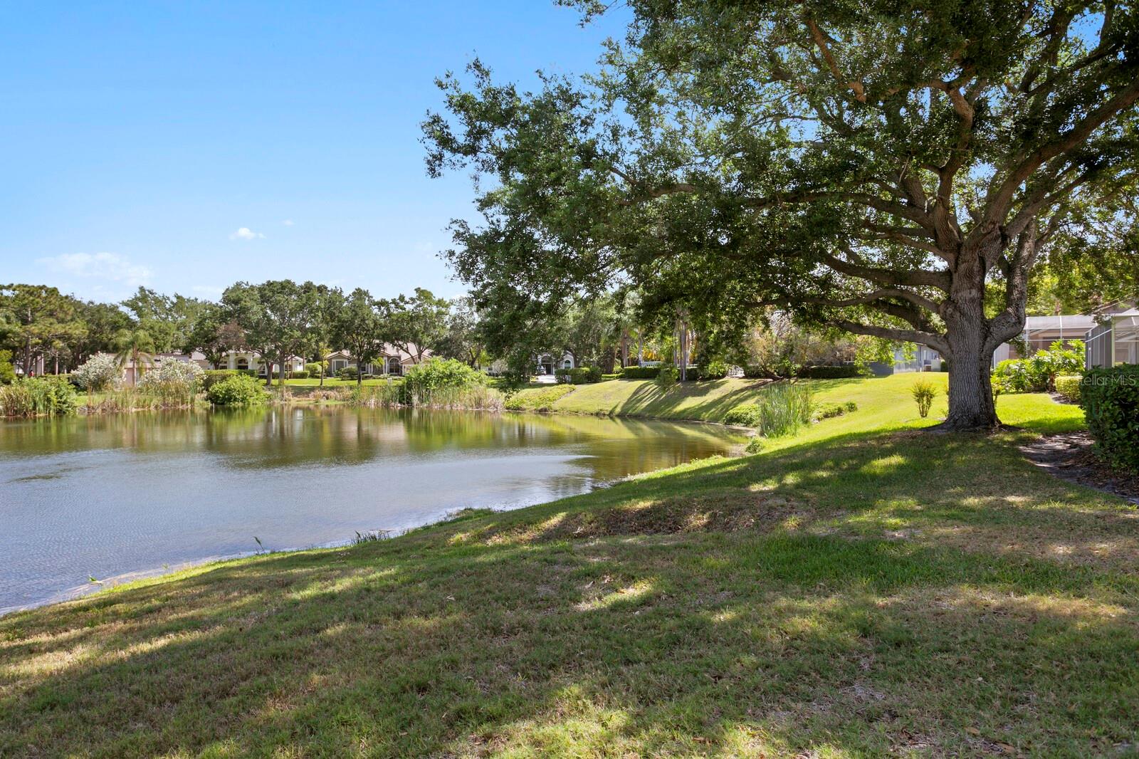 Image 52 of 69 For 7361 Watersilk Drive