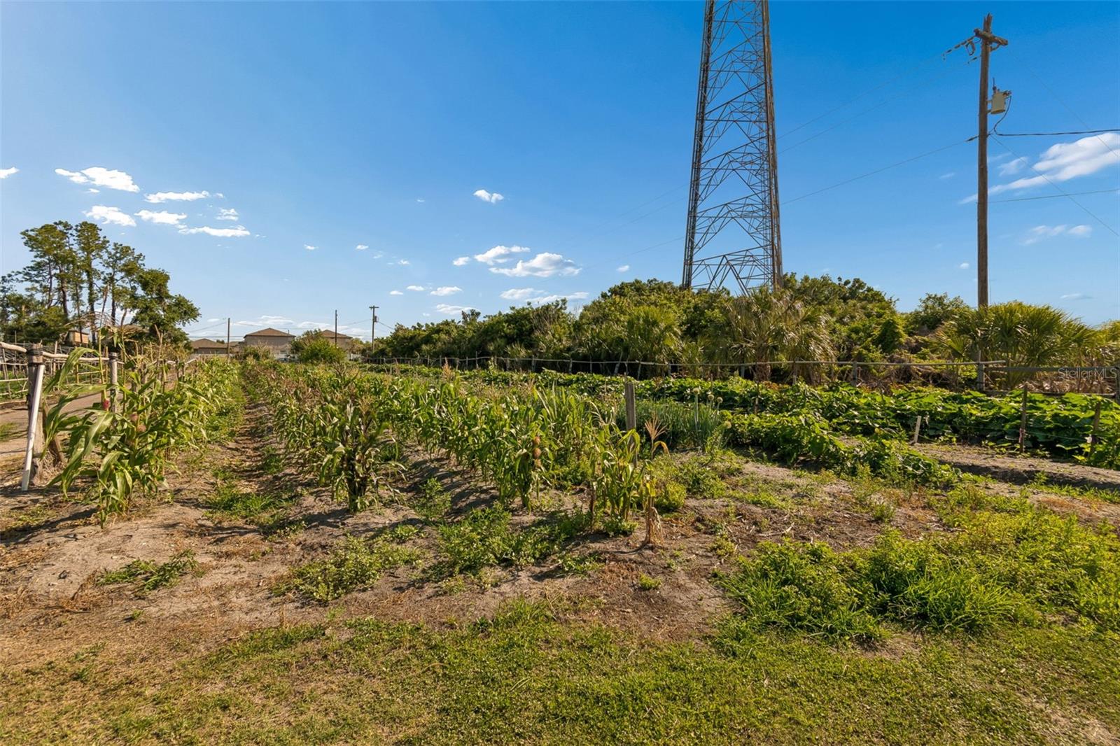 Image 17 of 36 For 11101 Sumner Road