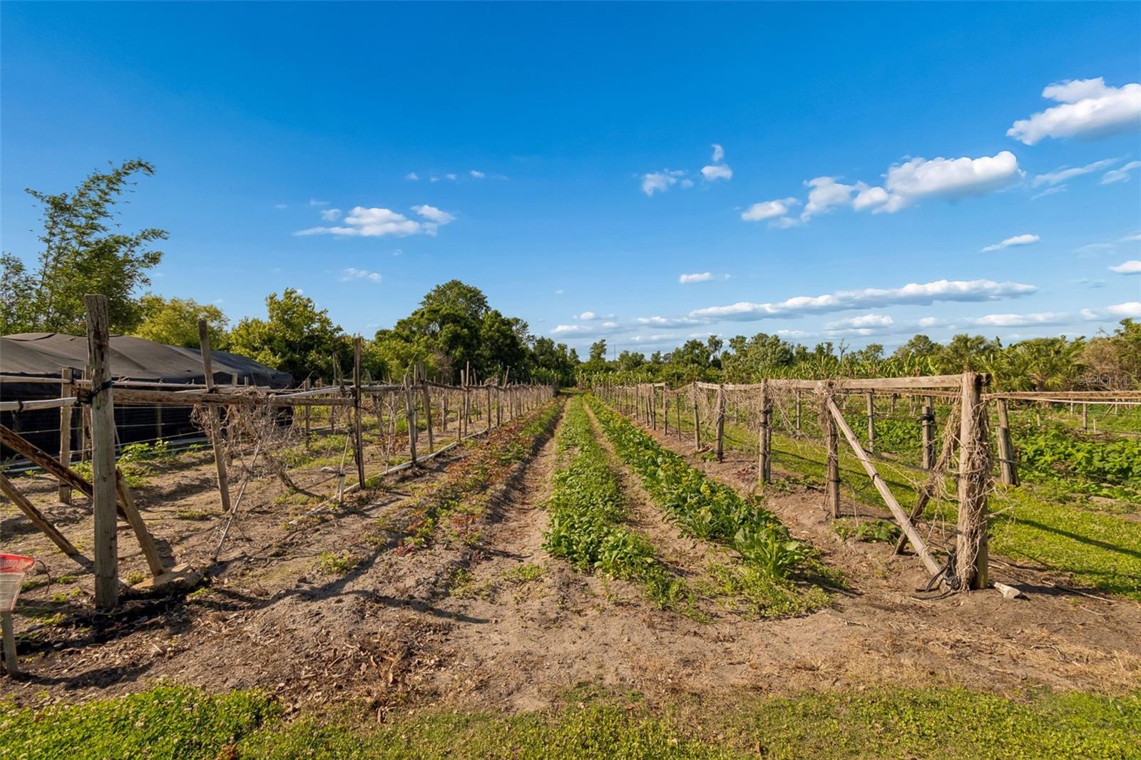 Image 20 of 36 For 11101 Sumner Road