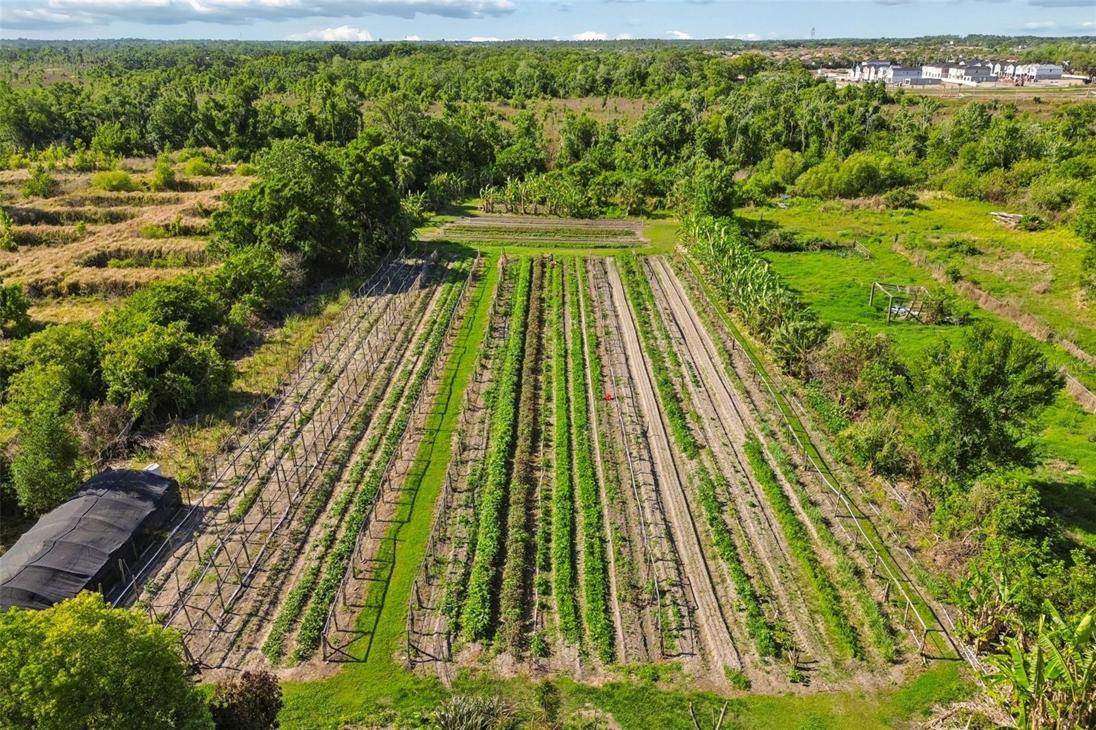 Image 24 of 36 For 11101 Sumner Road