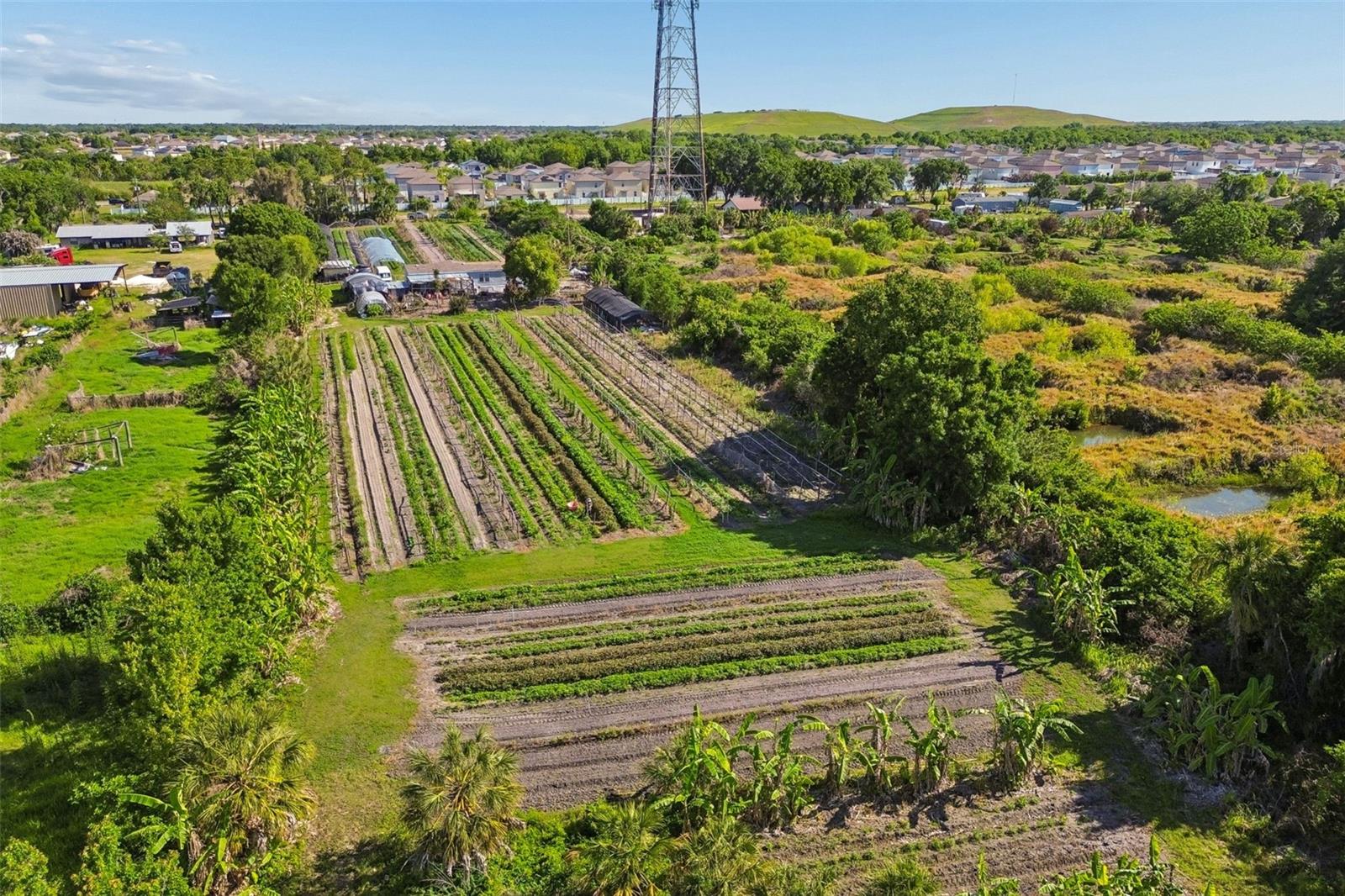 Image 25 of 36 For 11101 Sumner Road