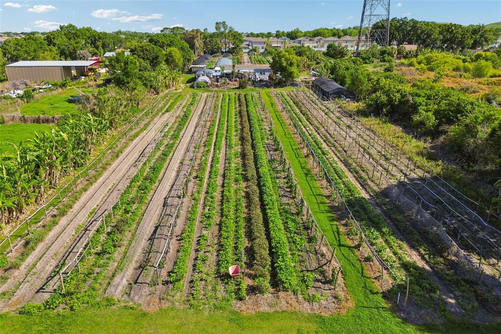 Image 28 of 36 For 11101 Sumner Road