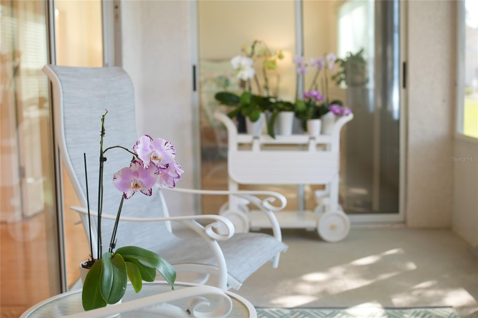 Image 32 of 34 For 3511 Tealwood Circle