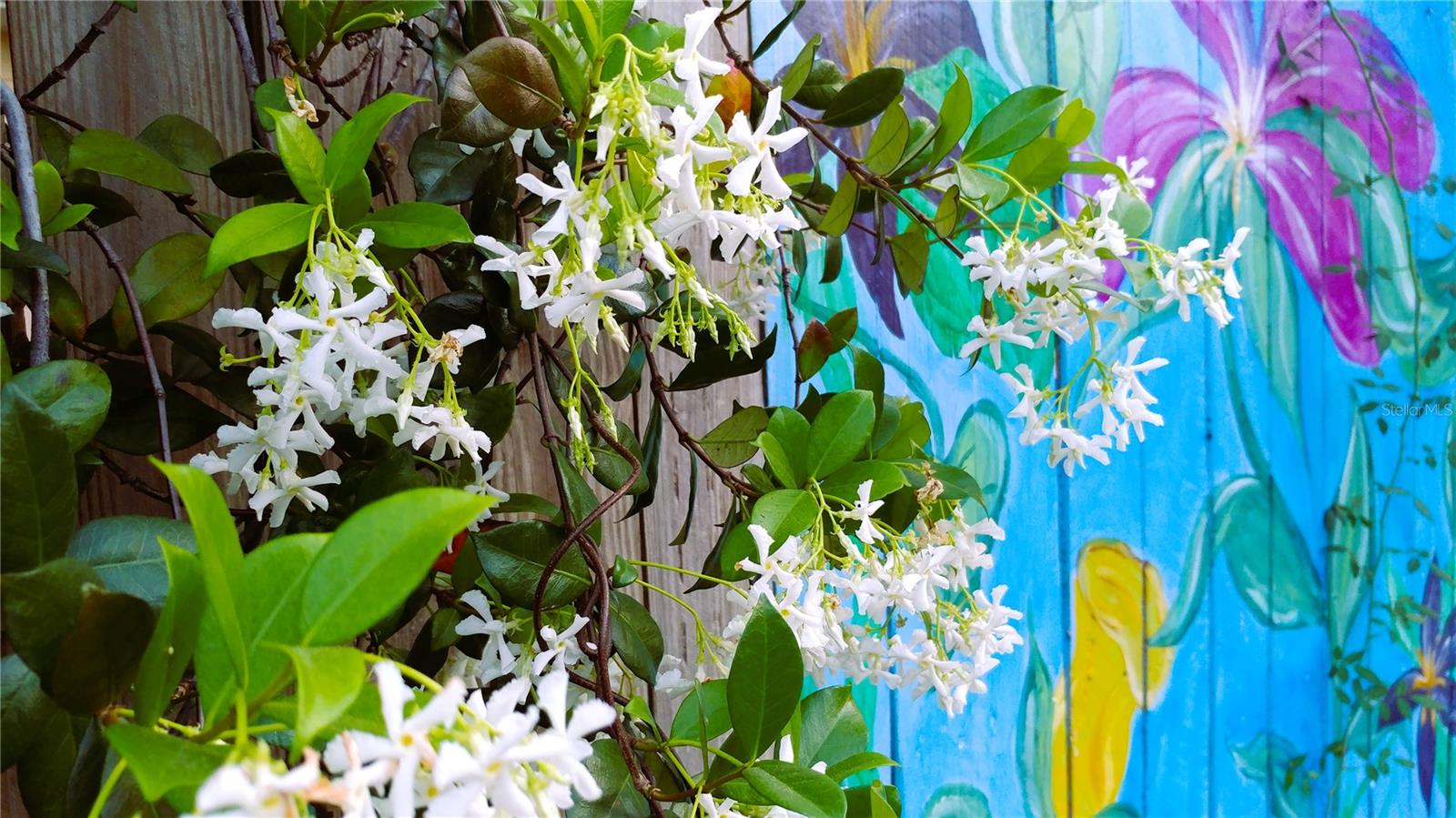 Image 26 of 30 For 5935 30th Avenue S 312