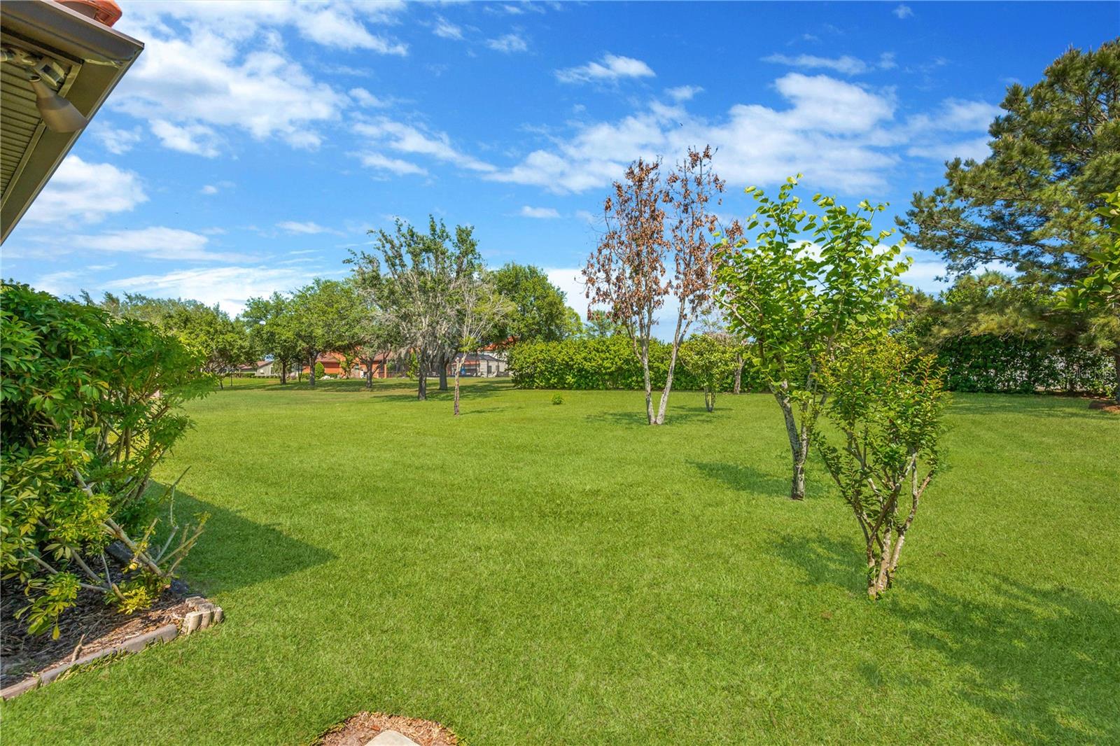 Image 36 of 53 For 9313 Lisbon Street