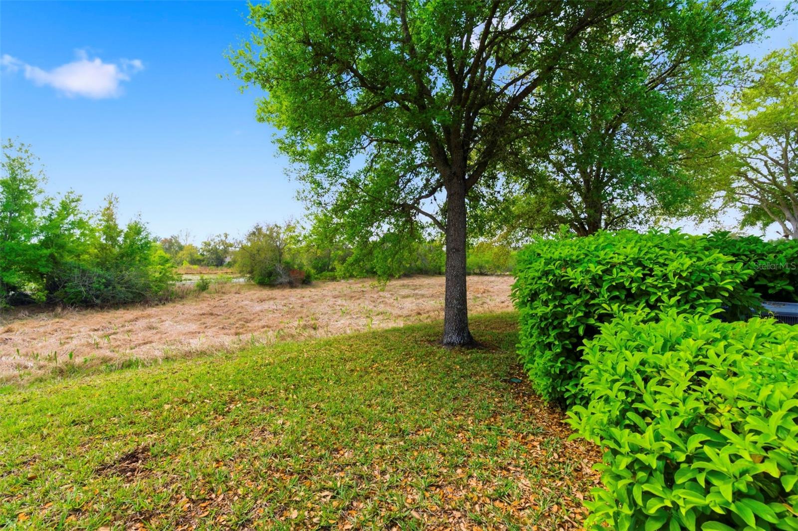 Image 32 of 41 For 11214 Port Douglas Drive