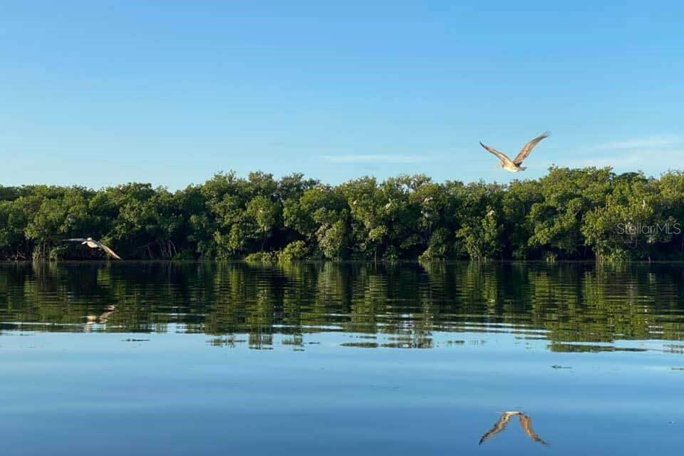 Image 38 of 51 For 10913 Liberty Drive