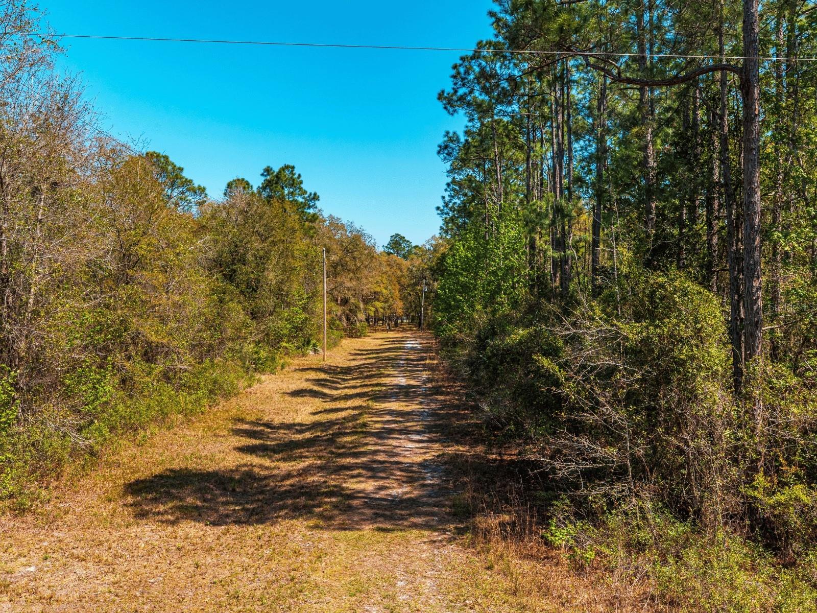 Image 11 of 11 For 109 Mourning Dove Way