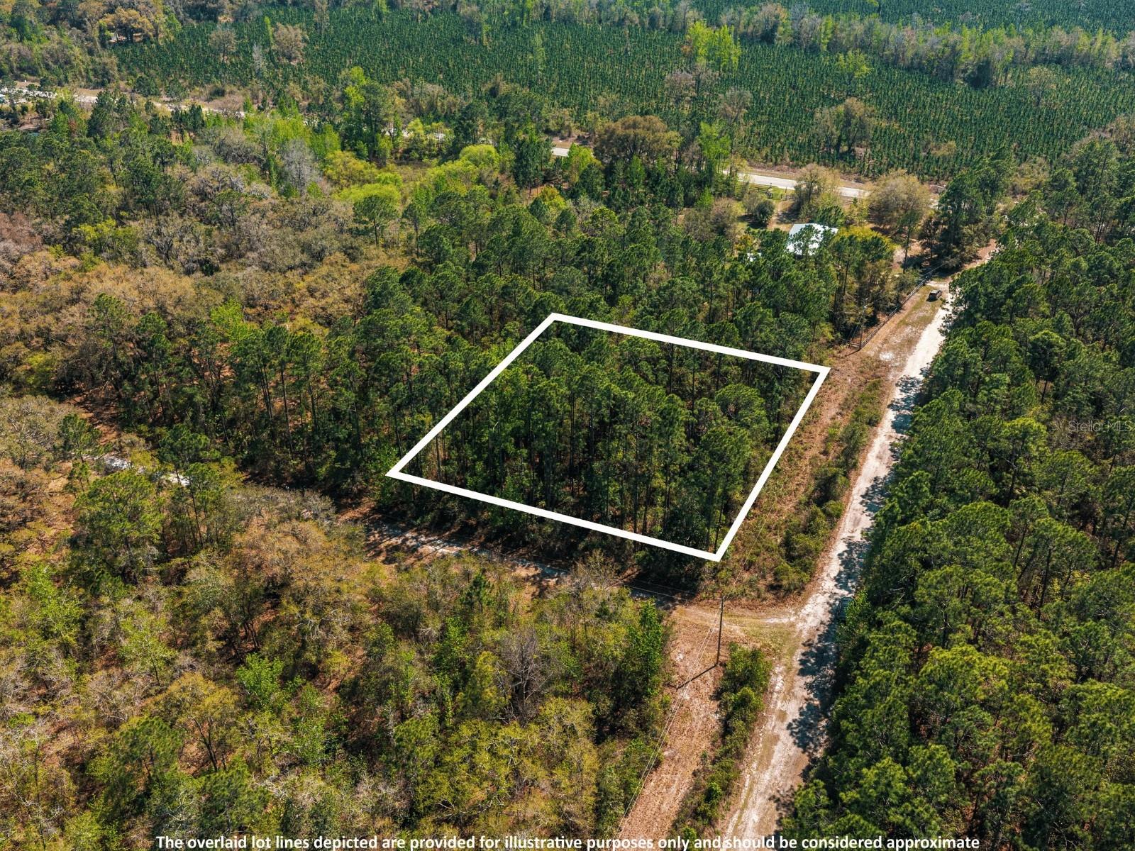 Image 4 of 11 For 109 Mourning Dove Way