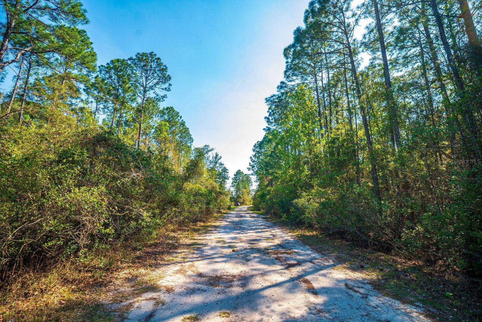 Image 9 of 11 For 109 Mourning Dove Way