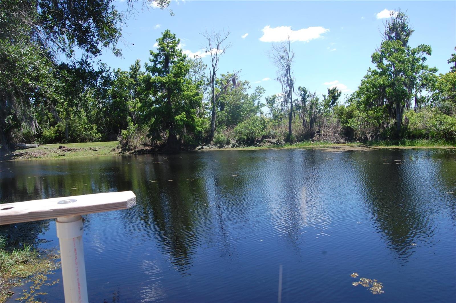 Image 10 of 79 For 30230 Palm Lane