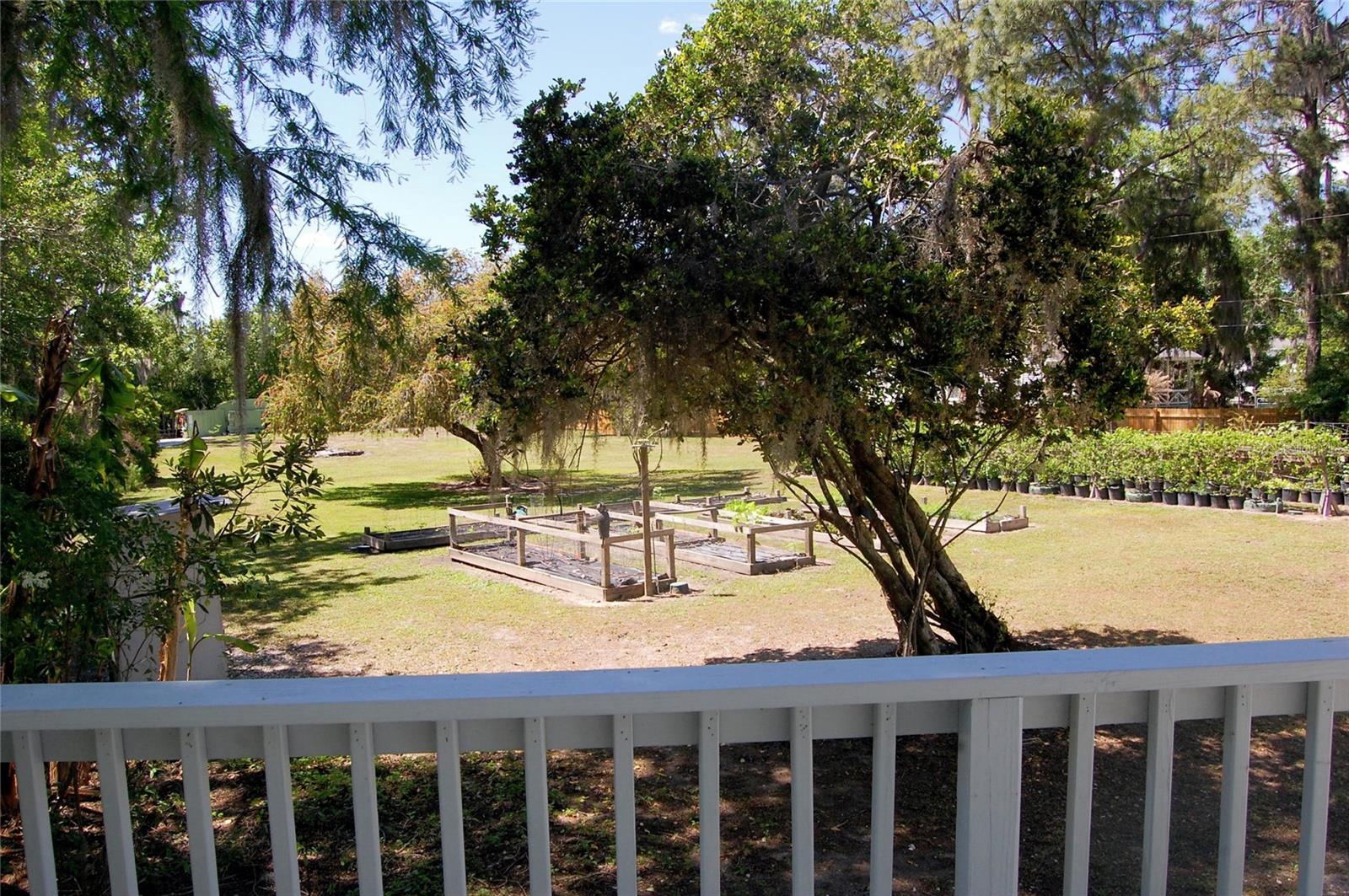 Image 35 of 79 For 30230 Palm Lane