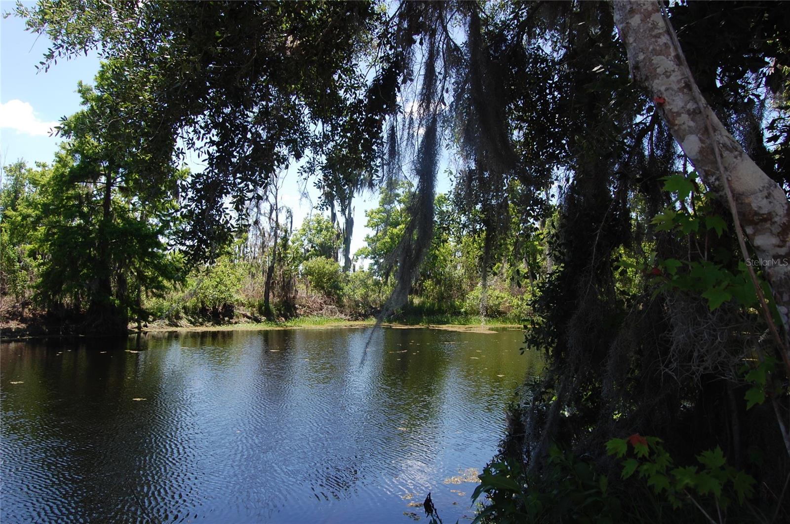 Image 44 of 79 For 30230 Palm Lane