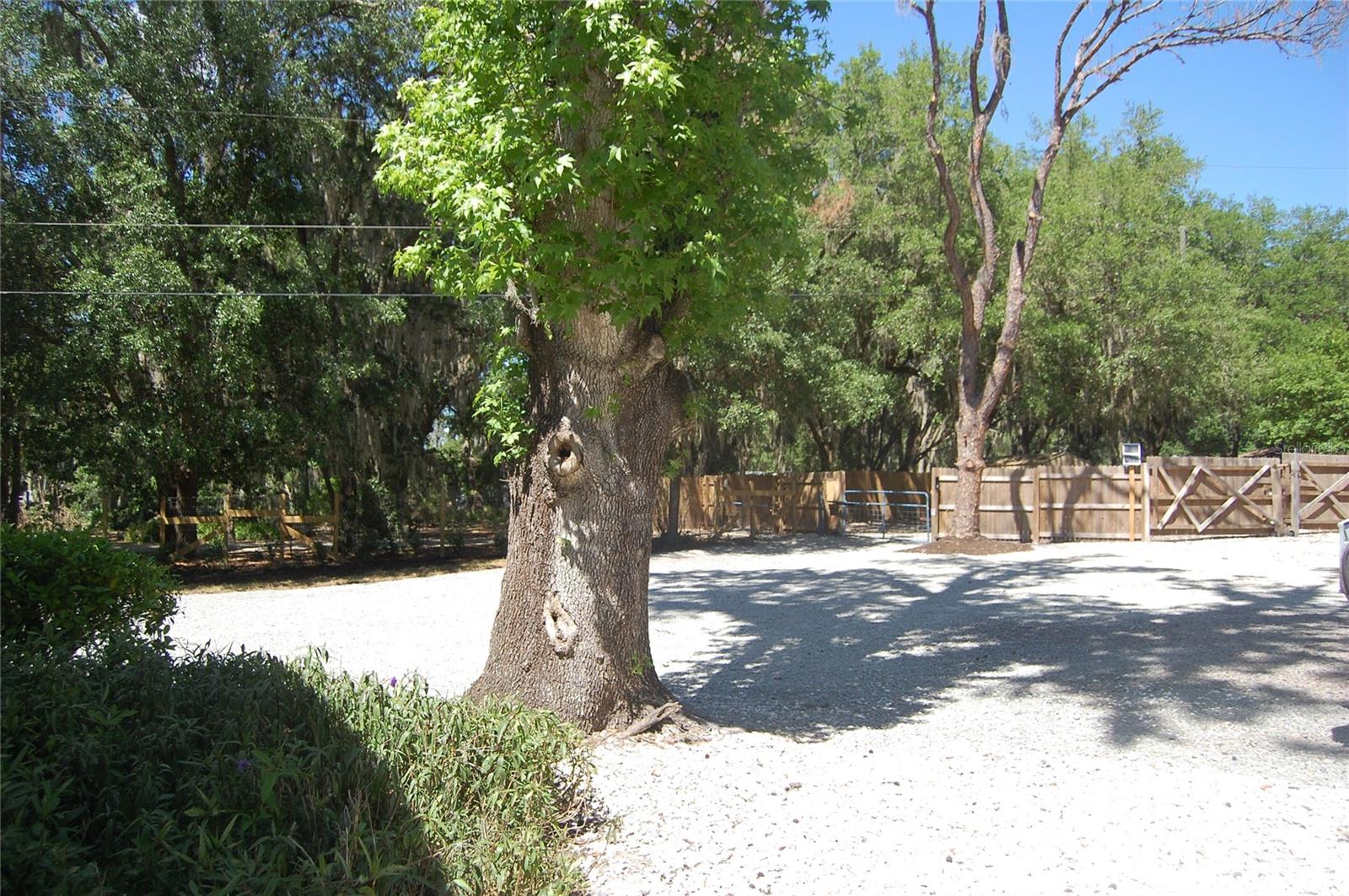 Image 5 of 79 For 30230 Palm Lane