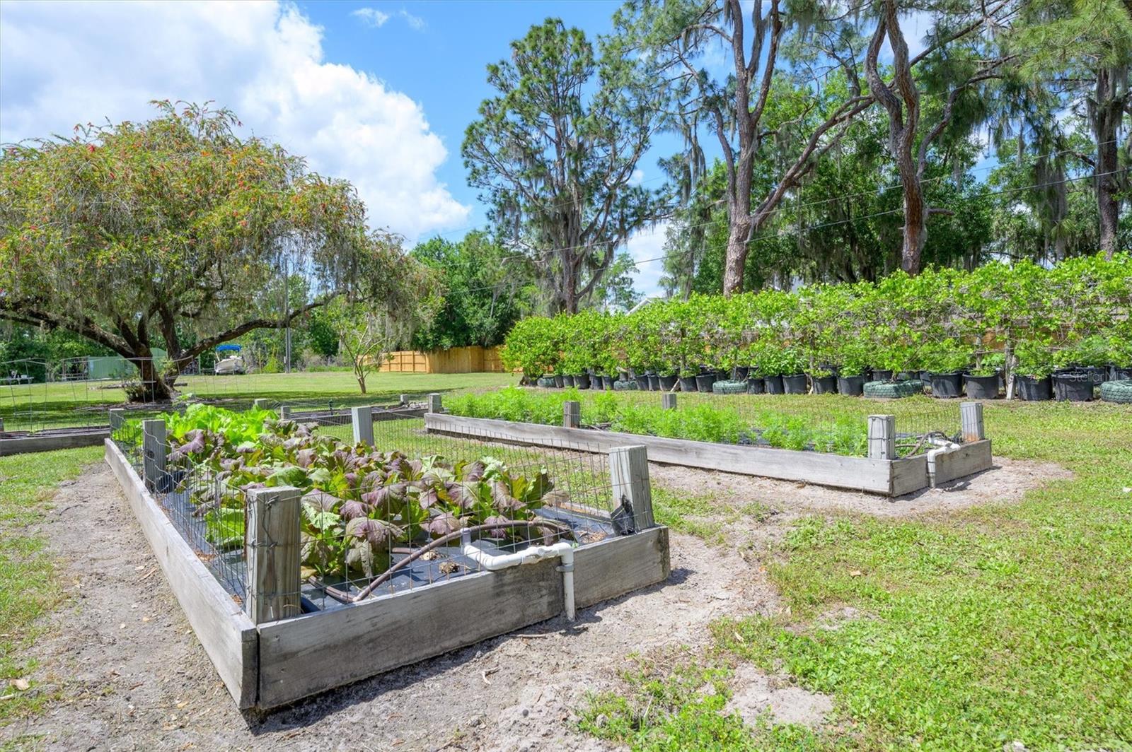 Image 50 of 79 For 30230 Palm Lane