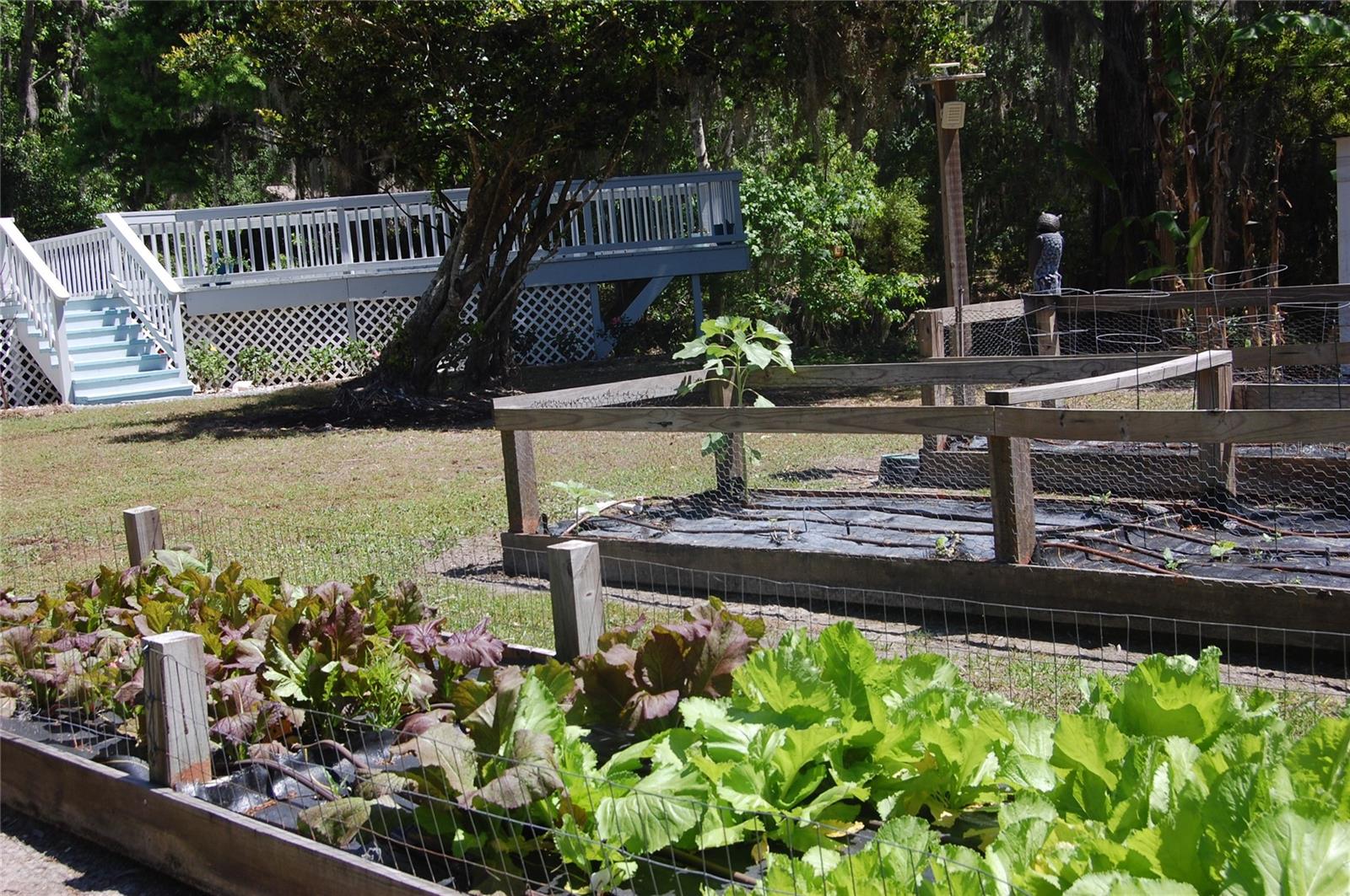 Image 52 of 79 For 30230 Palm Lane