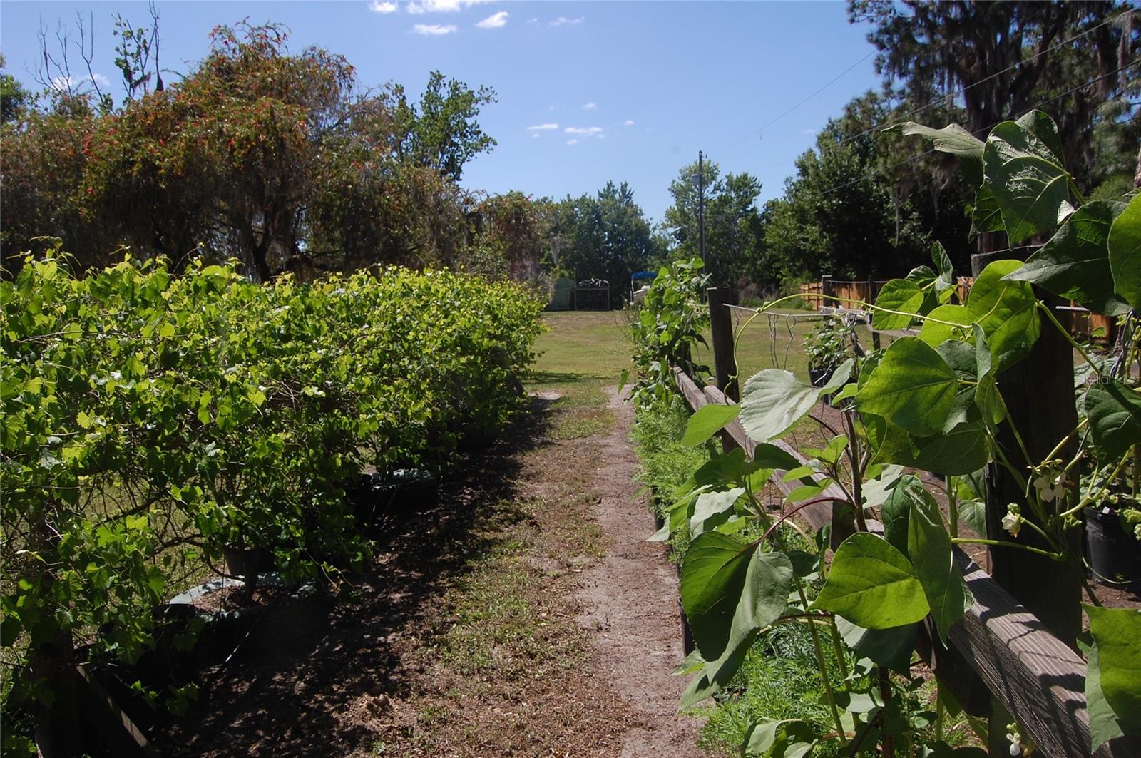 Image 53 of 79 For 30230 Palm Lane