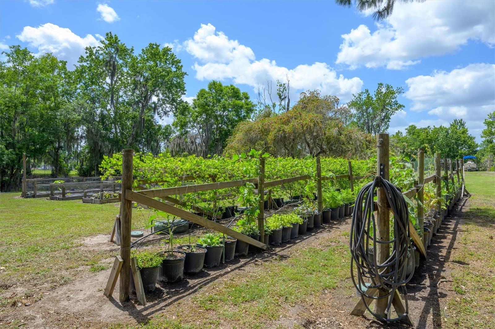 Image 54 of 79 For 30230 Palm Lane