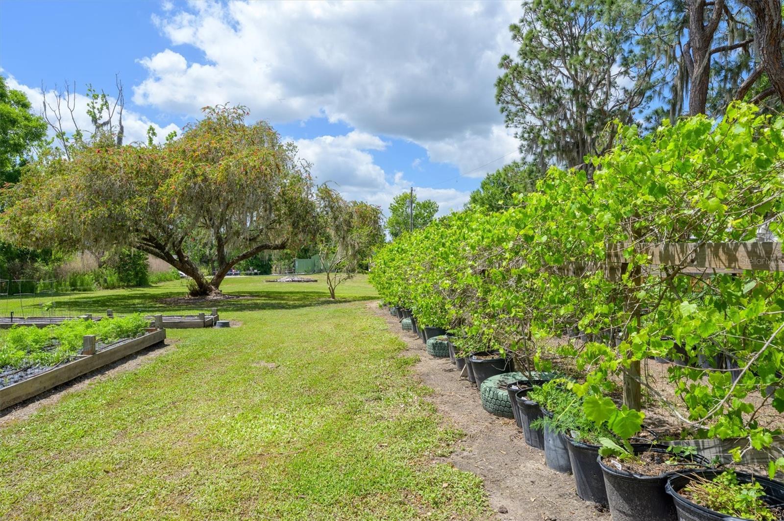 Image 55 of 79 For 30230 Palm Lane