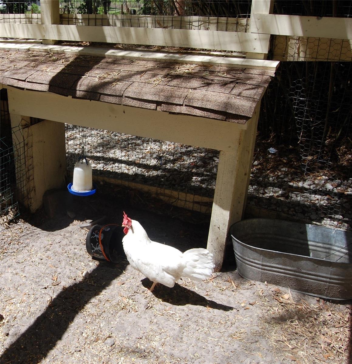 Image 68 of 79 For 30230 Palm Lane