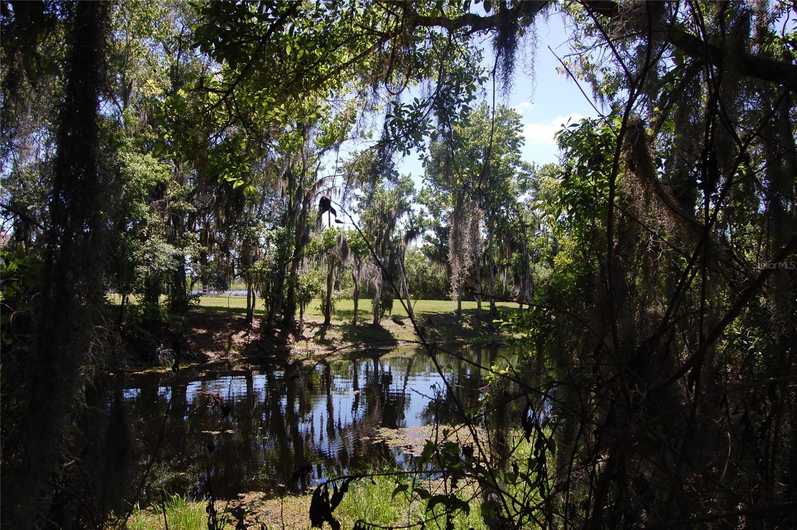 Image 75 of 79 For 30230 Palm Lane