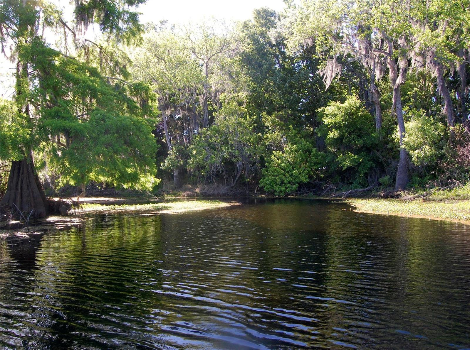 Image 76 of 79 For 30230 Palm Lane