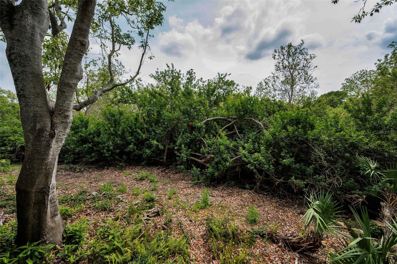 Image 32 of 68 For 2997 Eagle Estates Circle E