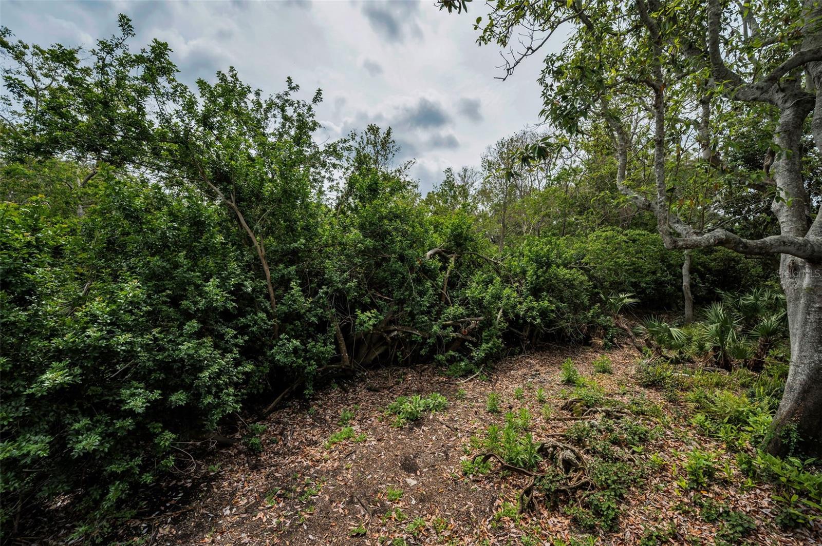 Image 37 of 68 For 2997 Eagle Estates Circle E