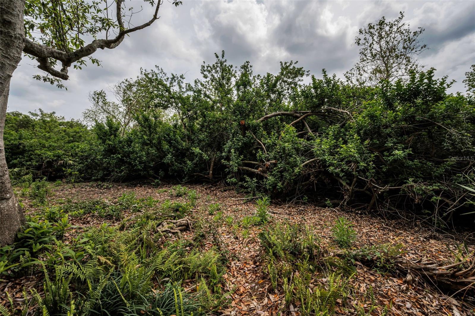 Image 59 of 68 For 2997 Eagle Estates Circle E