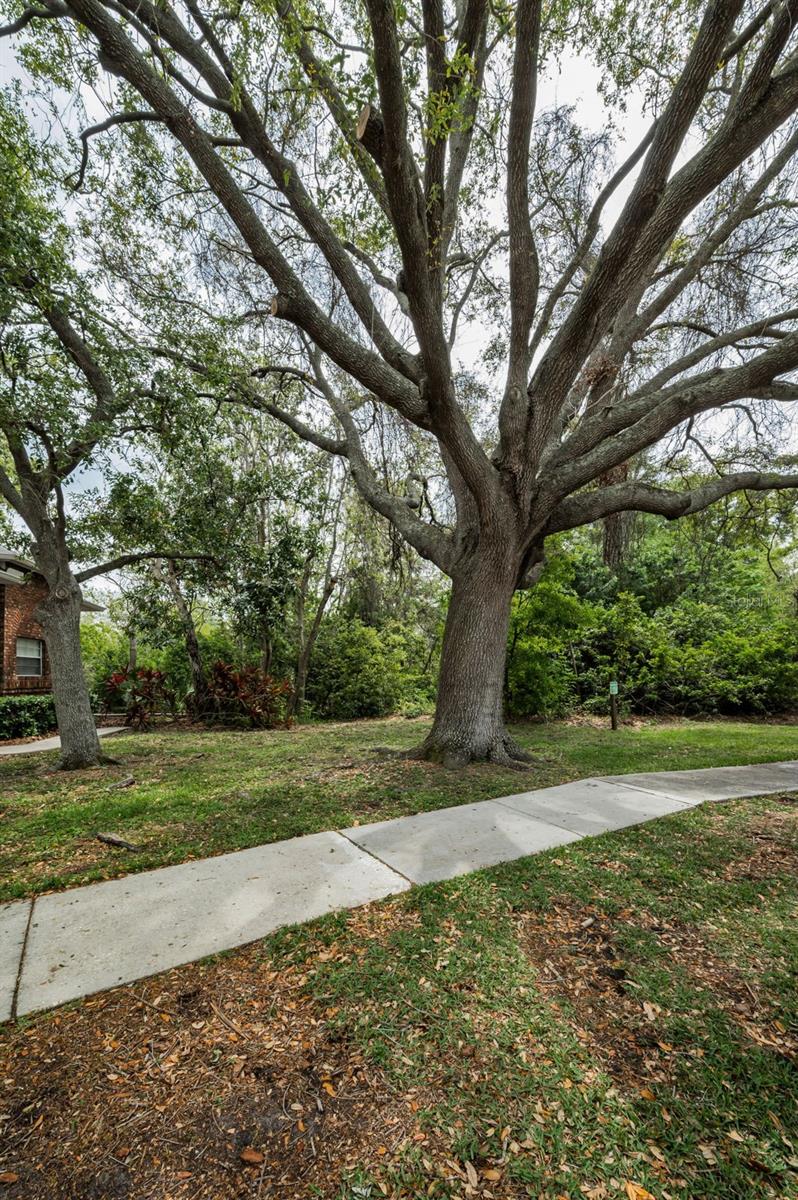 Image 66 of 68 For 2997 Eagle Estates Circle E