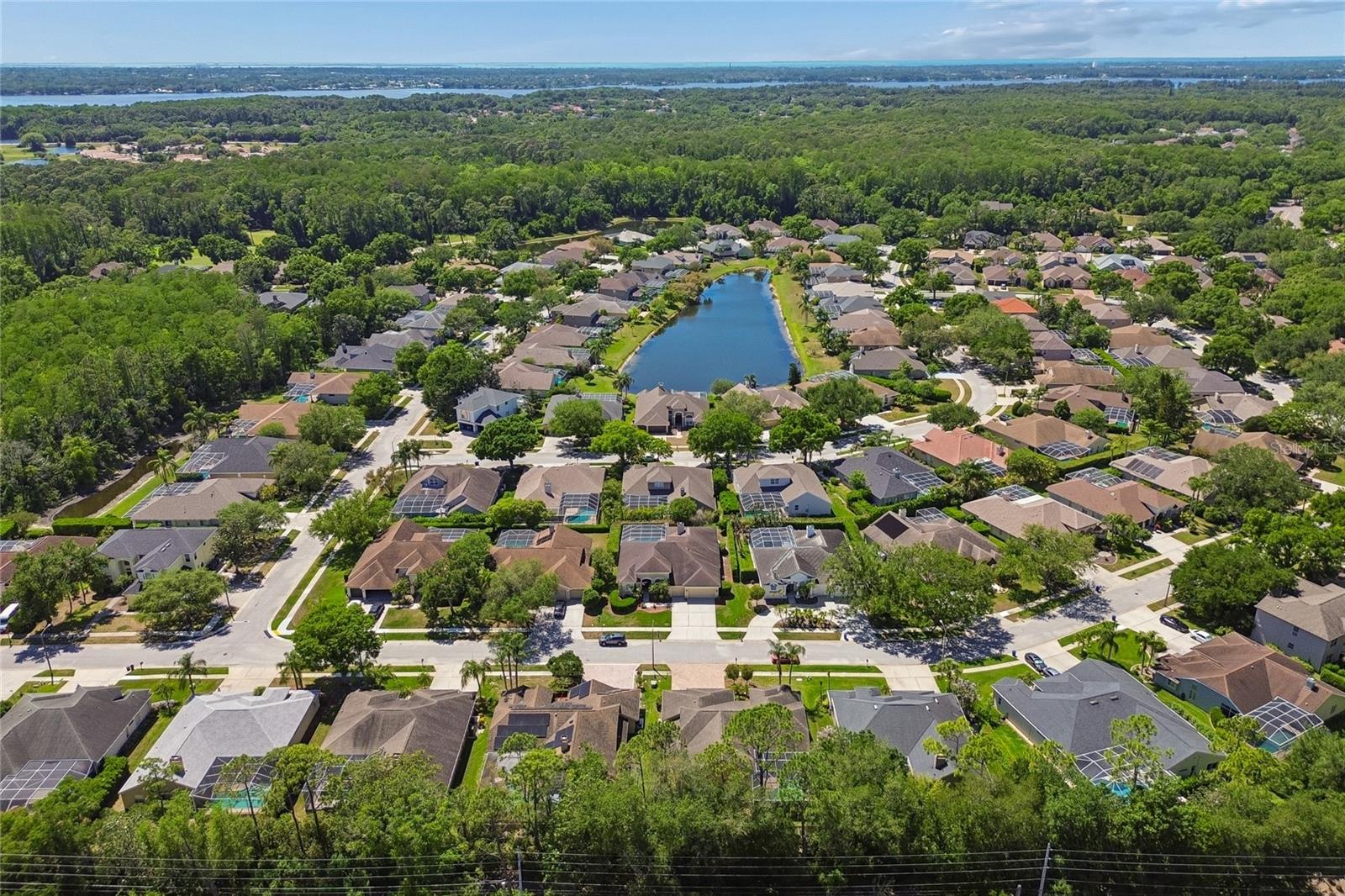 Image 49 of 66 For 4227 Auston Way