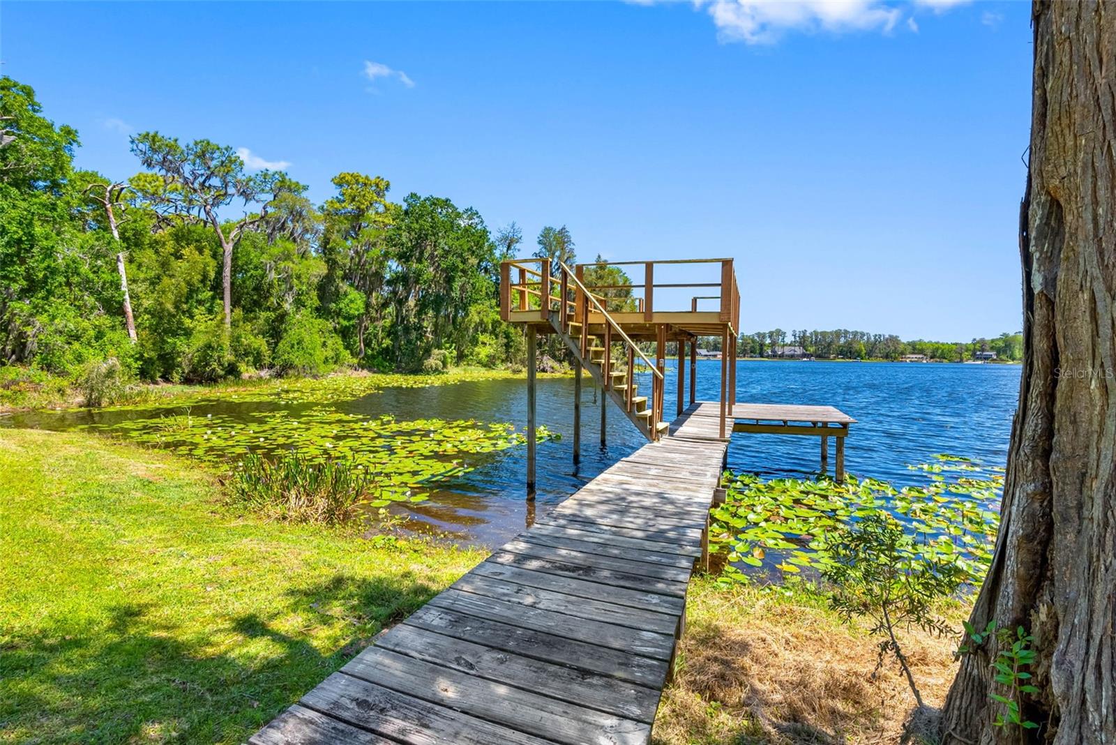 Image 54 of 67 For 10209 Lake Grove Drive