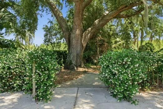 Image 77 of 83 For 18701 Pepper Pike