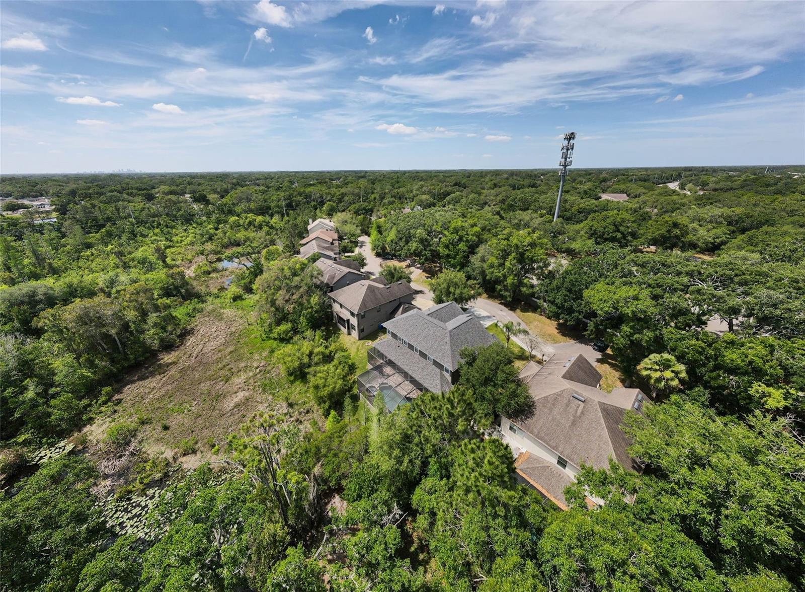 Image 53 of 57 For 14915 Smitter Reserve Drive