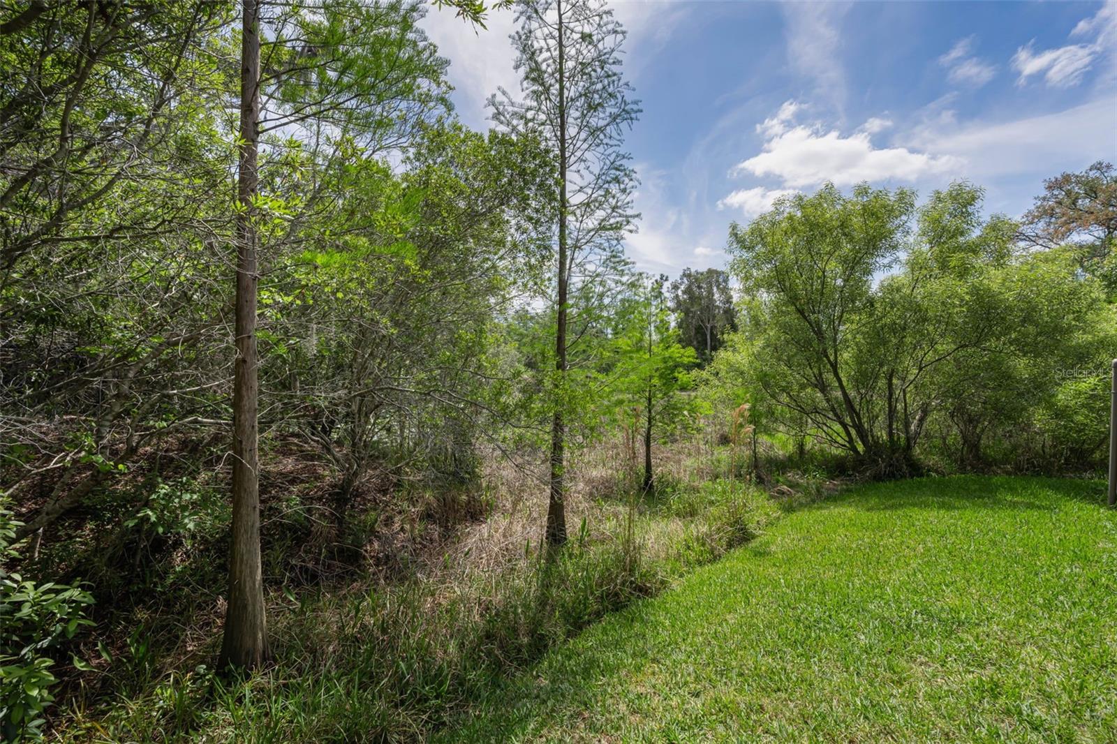 Image 56 of 57 For 14915 Smitter Reserve Drive