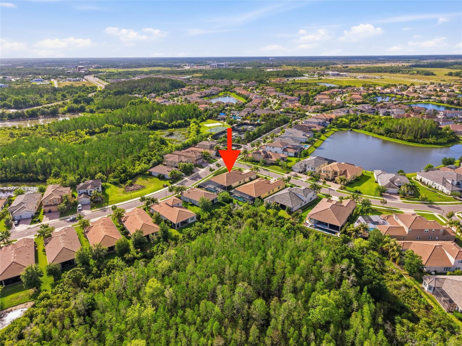 Image 79 of 100 For 2420 Coco Palm Circle