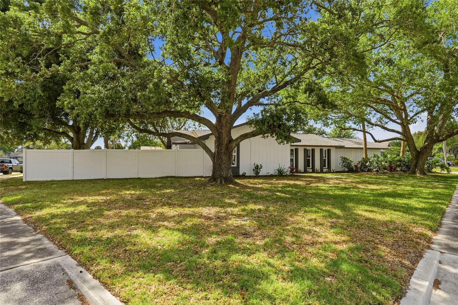 Image 28 of 30 For 9516 Merrimoor Boulevard