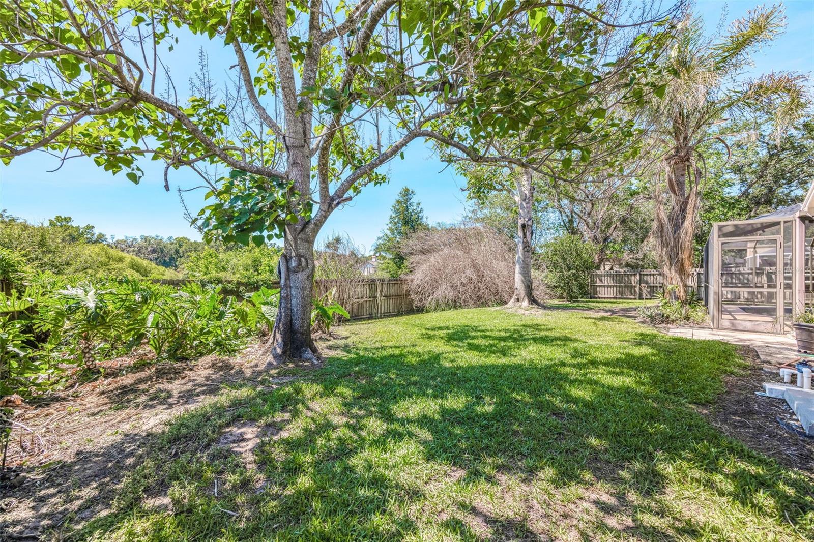 Image 41 of 50 For 3006 Sprawling Oaks Place