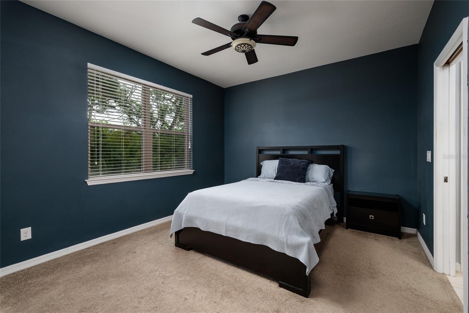 Listing photo id 10 for 6408 Yellow Buckeye Drive