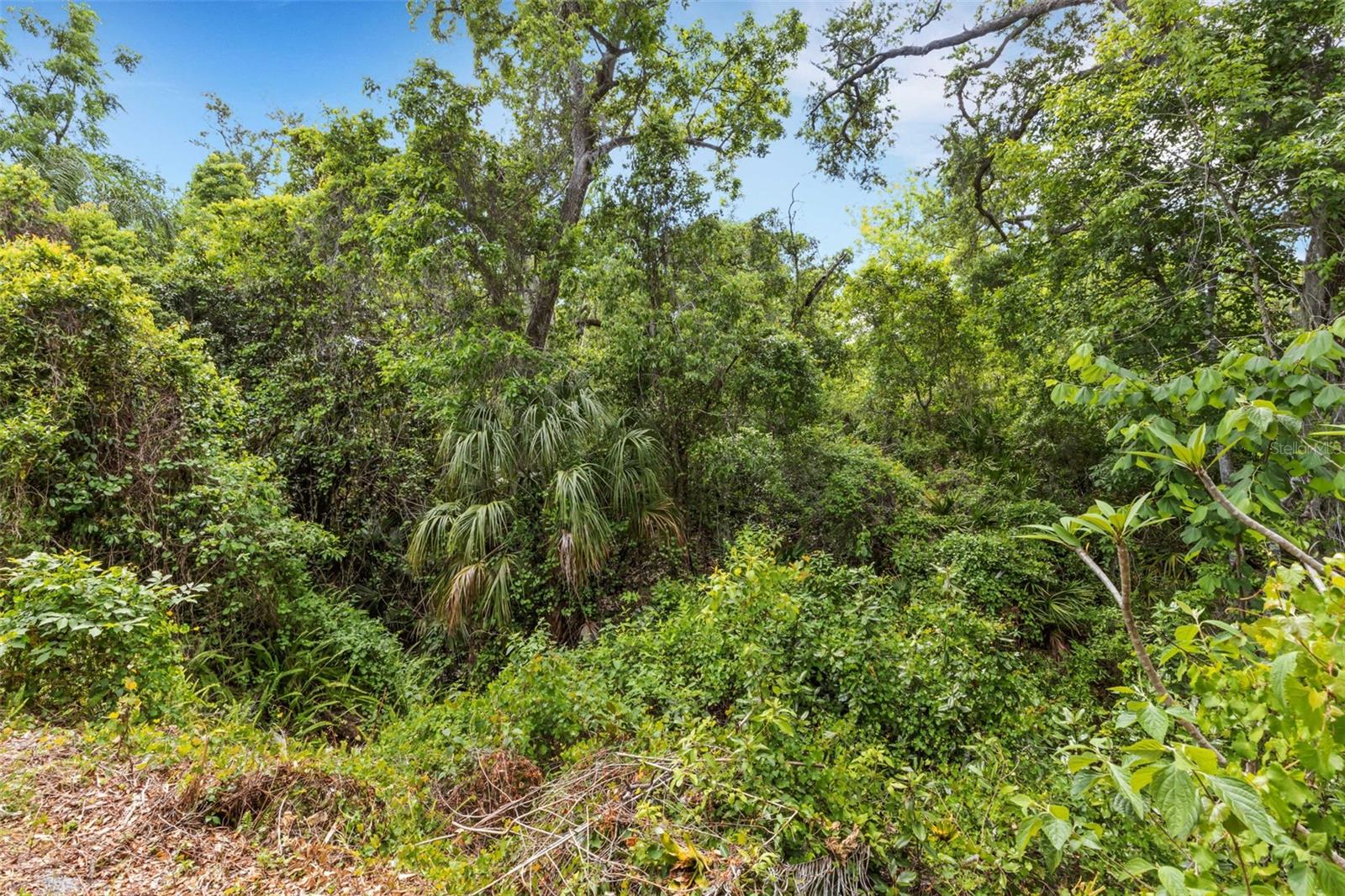 Image 33 of 39 For 98 Cedar Elm Drive 32