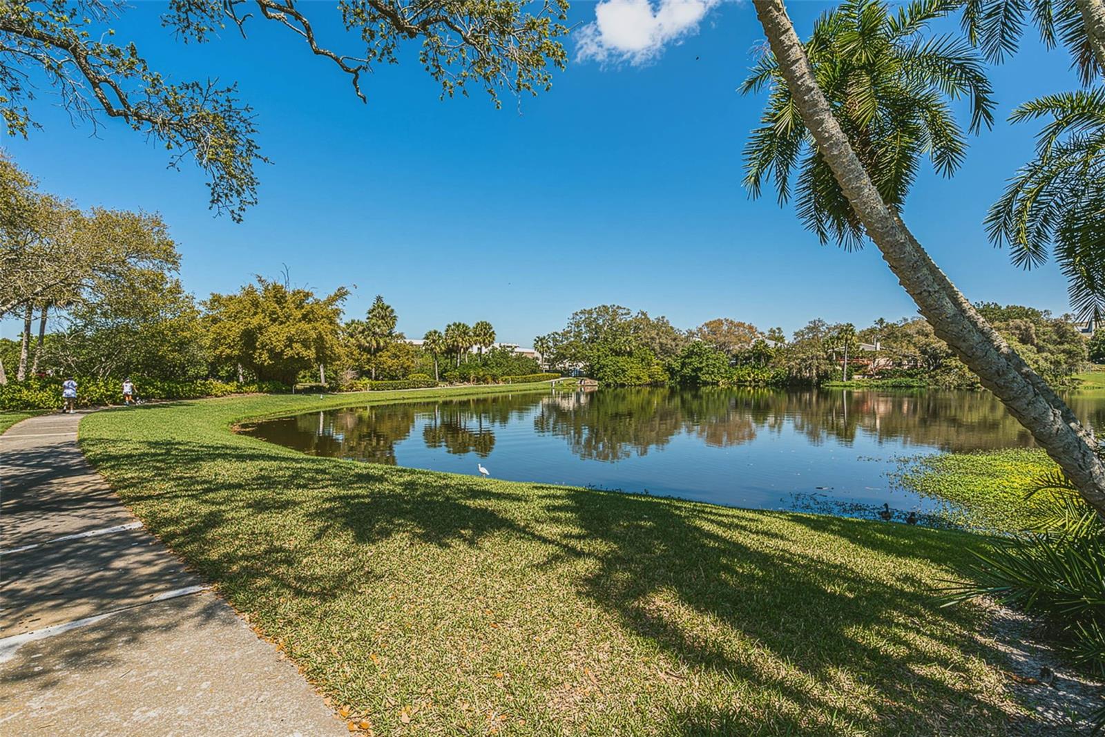 Image 40 of 45 For 100 Oakmont Lane 203