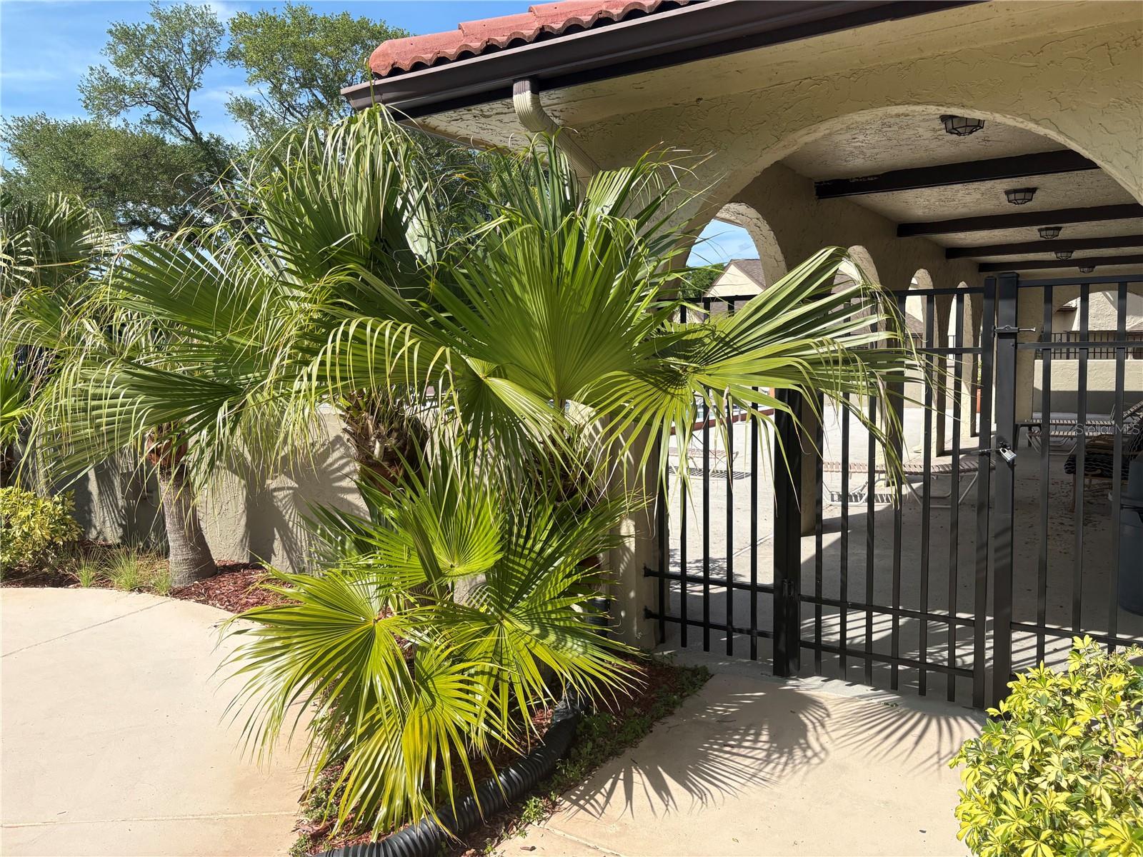 Image 6 of 8 For 6262 142nd Avenue N 804